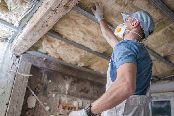 Best Spray Foam Insulation in Country Club Hls, IL