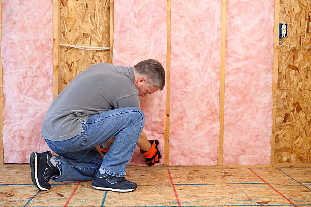 Best Cellulose Insulation in Country Club Hls, IL