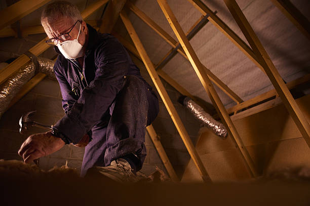 Types of Insulation We Offer in Country Club Hills, IL