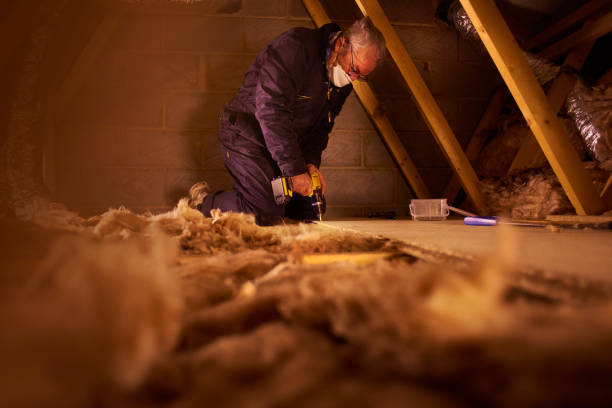 Best Energy Efficiency Insulation in Country Club Hls, IL